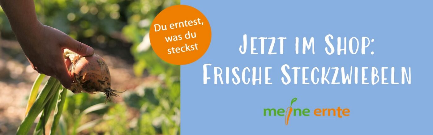 meine-ernte.de